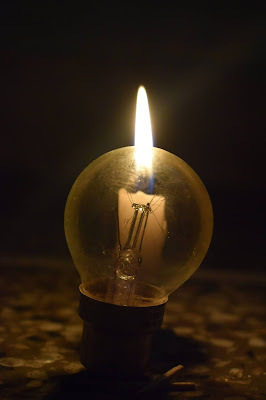 Read more about the article A bulb’s survival guide; in a world full of candles!